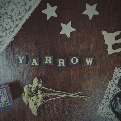 Yarrow ~ Baby Name Meaning & Origin