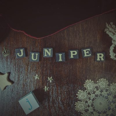 Juniper ~ Baby Name Meaning & Origin