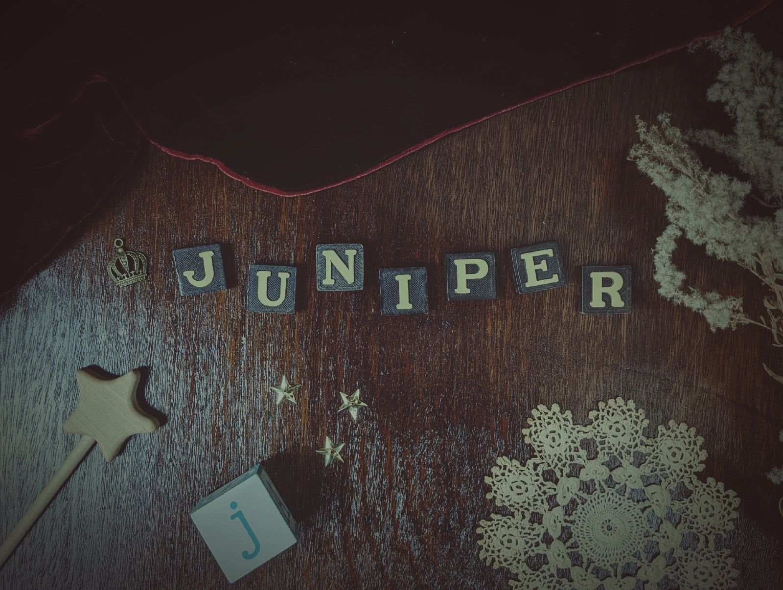 Juniper Baby Name Meaning & Origin Kindred + Willow