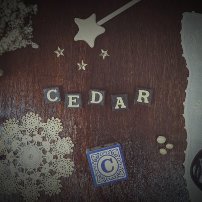 Cedar ~ Baby Name Meaning & Origin