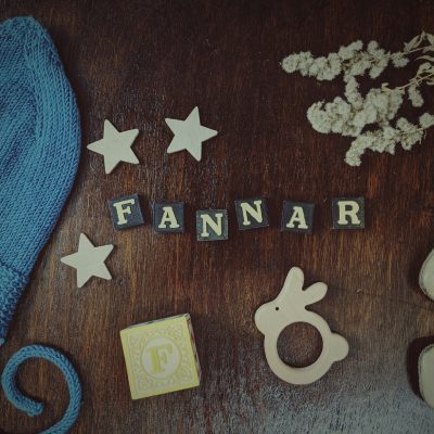 Fannar ~ Baby Name Meaning & Origin