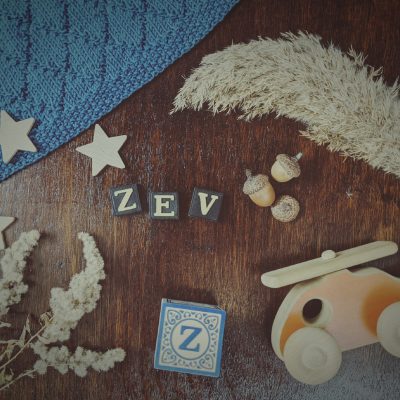 Zev ~ Baby Name Meaning & Origin