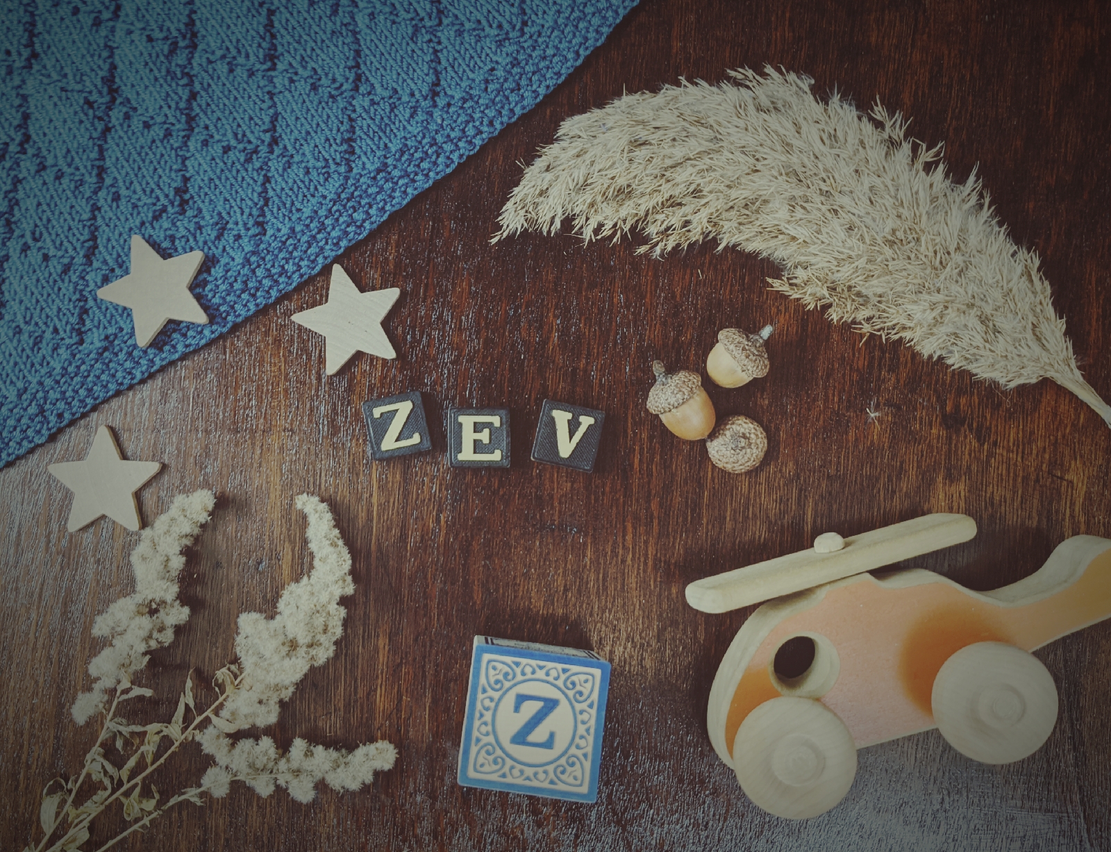 Zev Baby Name Meaning & Origin Kindred + Willow
