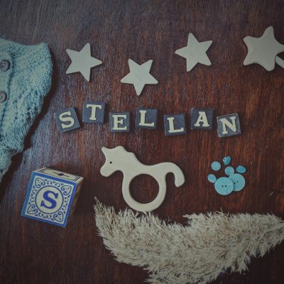 Stellan ~ Baby Name Meaning & Origin