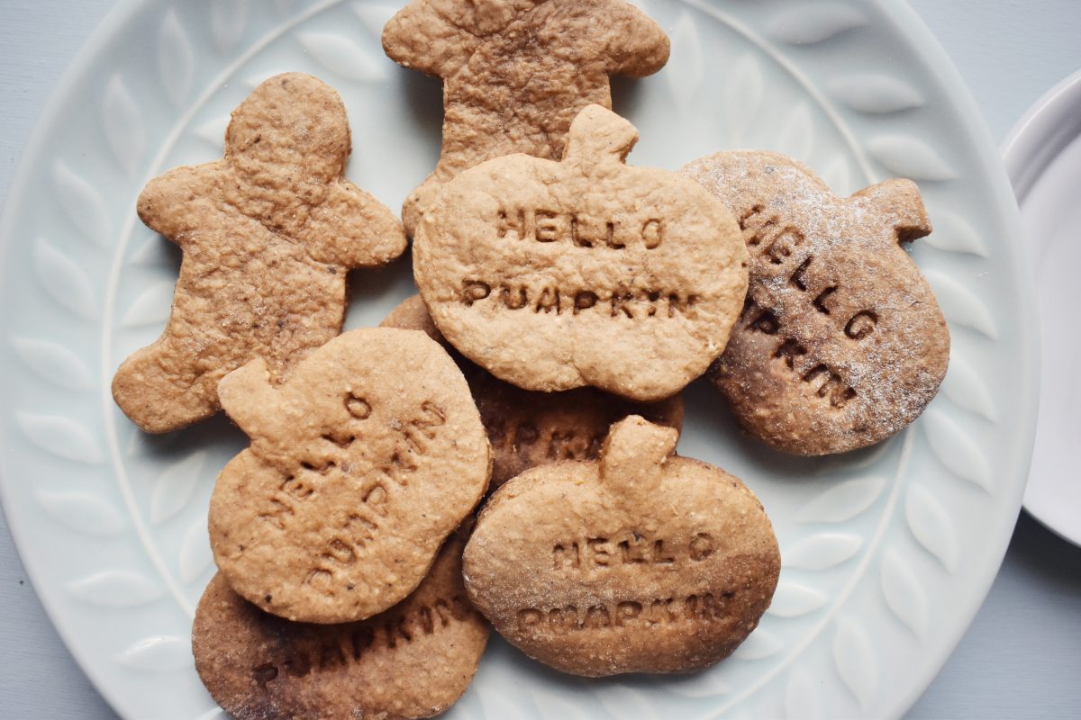 plate of gingerbread cookies