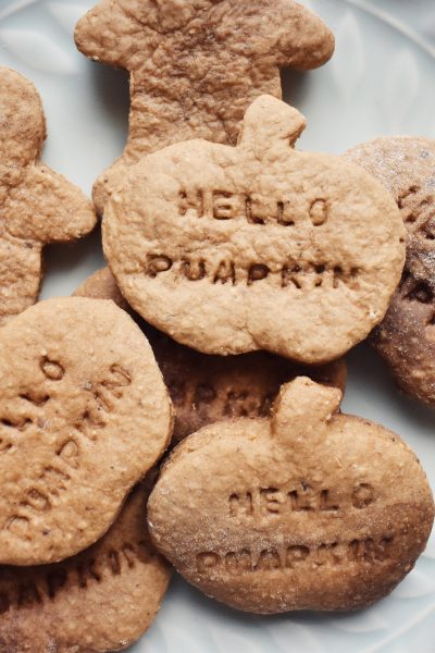 plate of gingerbread cookies