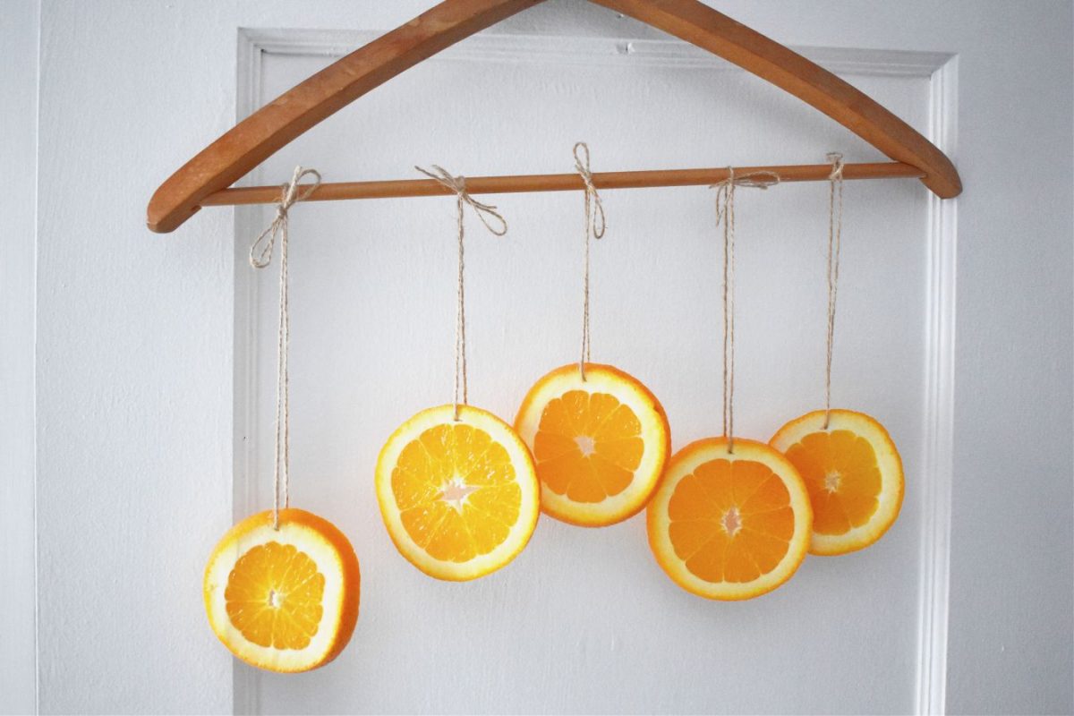 Orange slices hanging to dry on old door