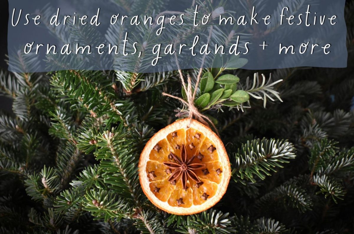 Dried orange with cloves and anise hanging on a Christmas tree