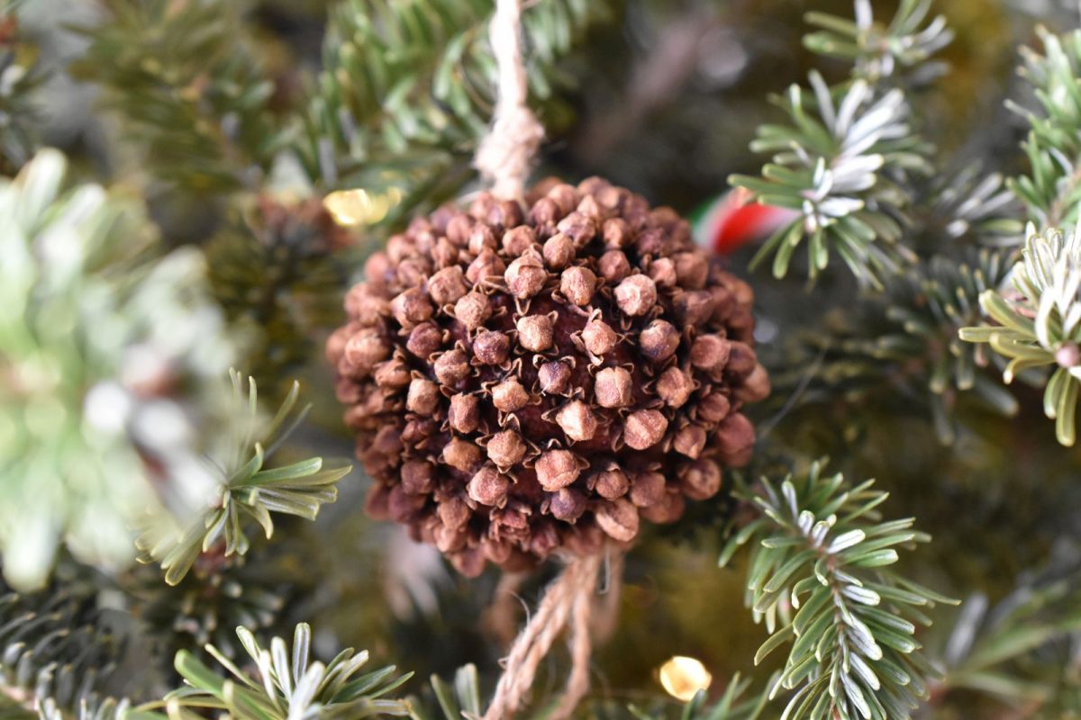 Orange clove pomander
